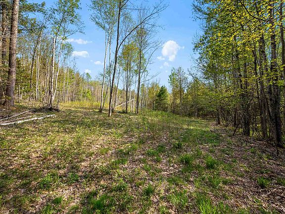 5th image of 82 Bear Paw Trail