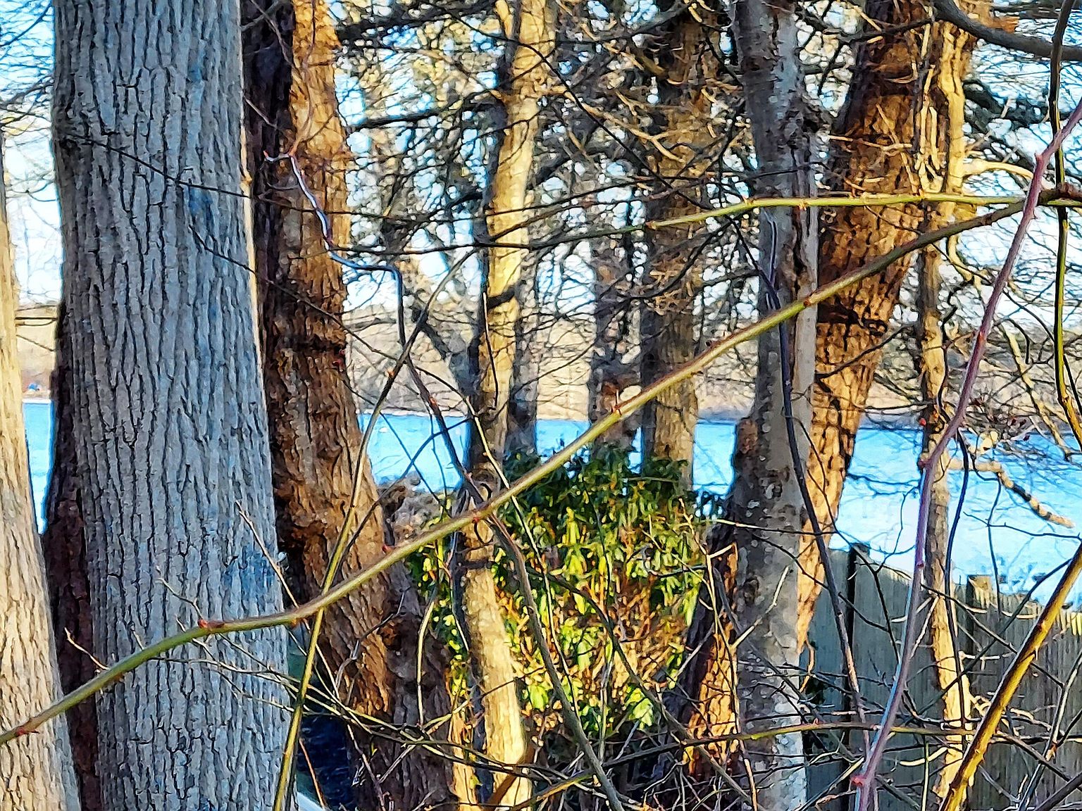 174 Winslow Gray Road, West Yarmouth, MA 02673 Zillow