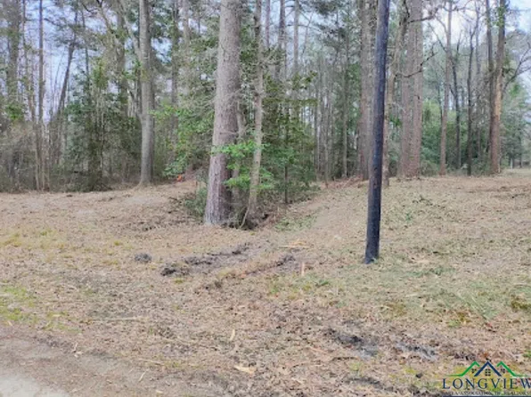 Pine Tree Rd, Harleton, TX 75651