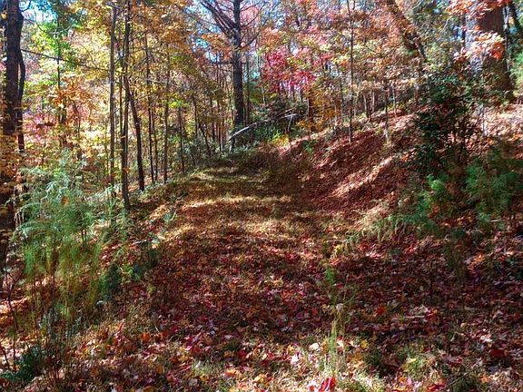 5th image of LOT 82 Coldwater Creek Dr