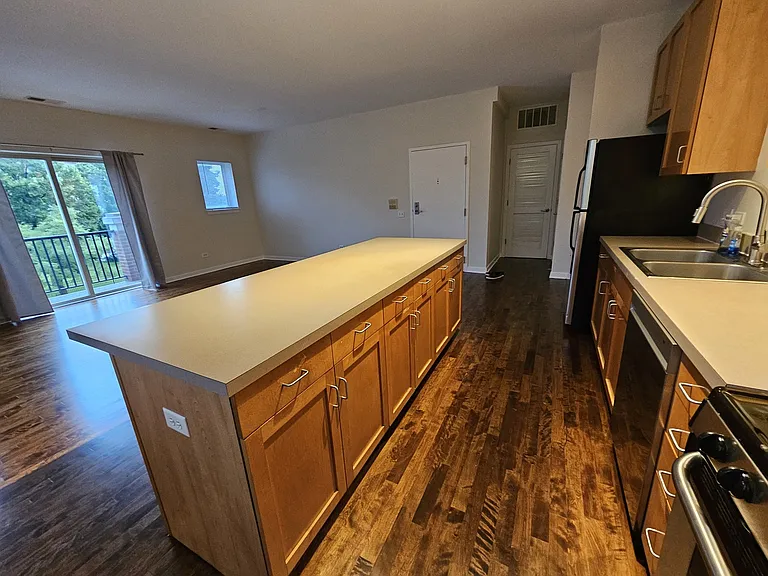 1244 S Blue Island Ave #301 — Photo 3