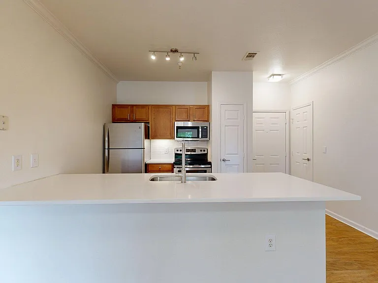 Apartment Kitchen with Stainless Steel Appliances and wood-style floors.