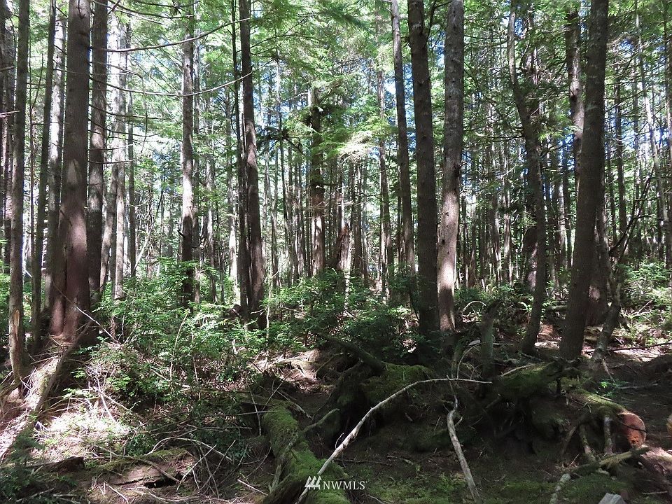 0 XXX State Route 109, Copalis Beach, WA 98535 Zillow