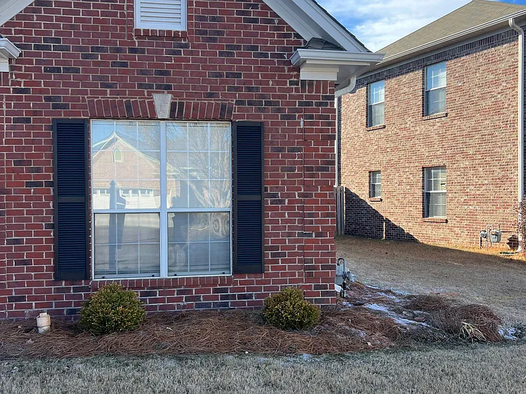 Front landscape bed.