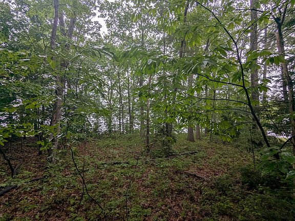2nd image of 0 Winding Cove Rd