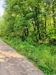 Olson Rd, Hinckley, MN, 55037