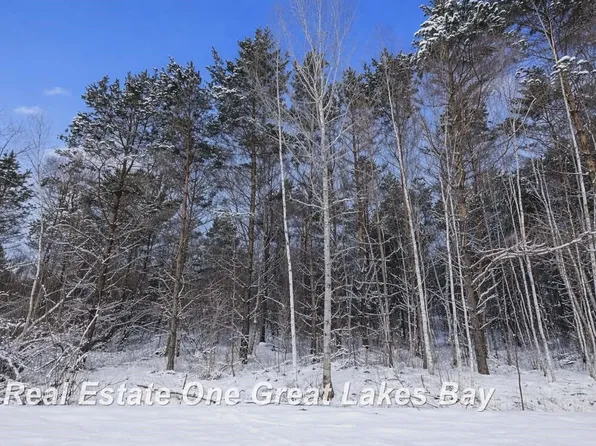 2528 N Englehart Rd, Cass City, MI 48726