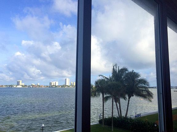 INTERIOR PALM TREED VIEWS