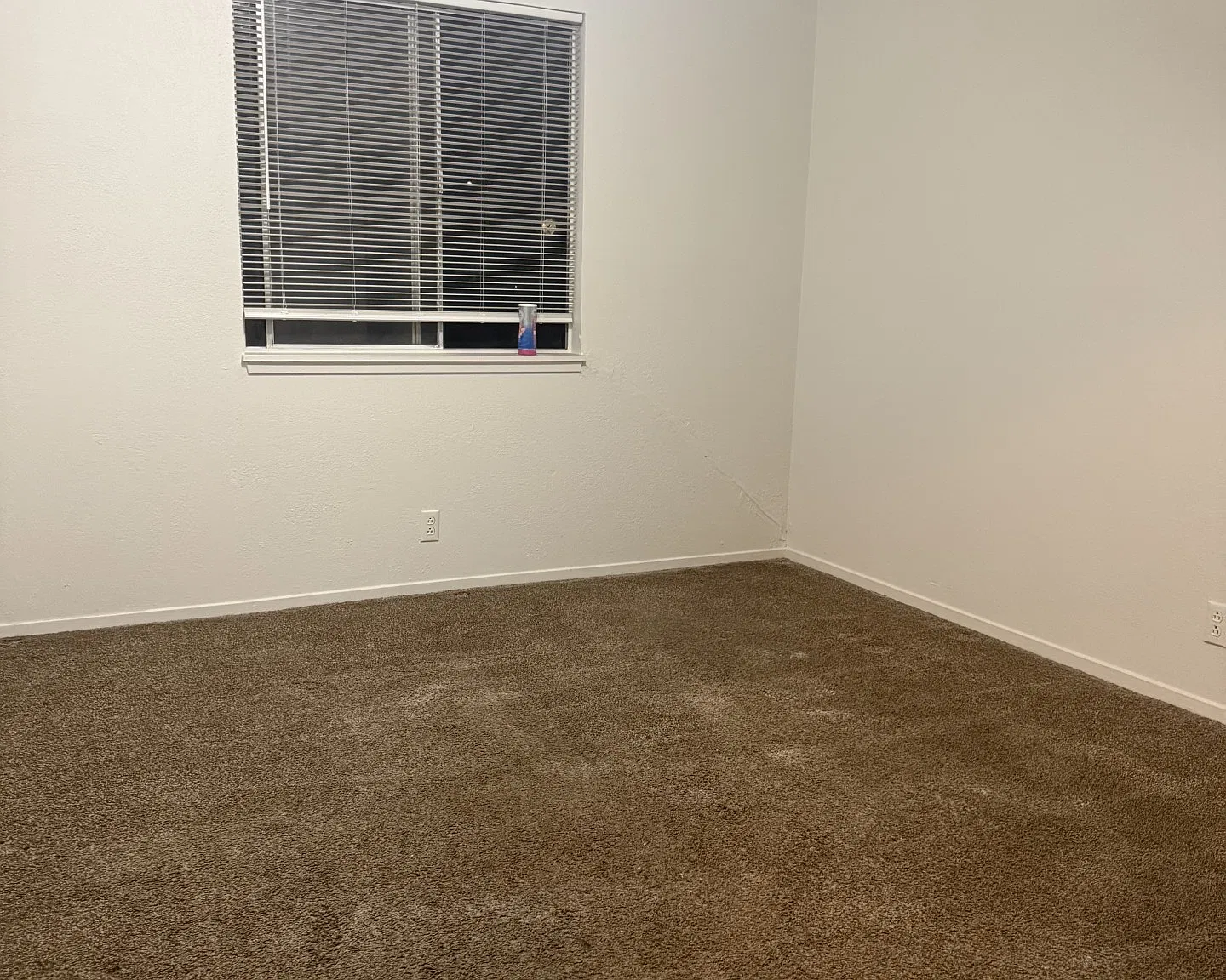 2 bed, 750 sqft, $1,600 — Photo 2