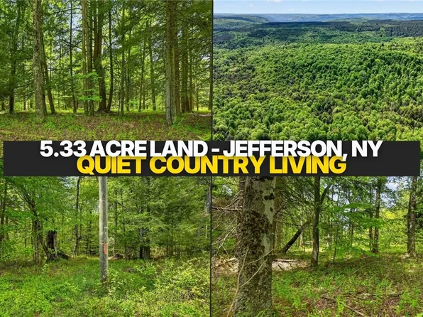 L16 Crystal Brook Path, Jefferson, NY 12093