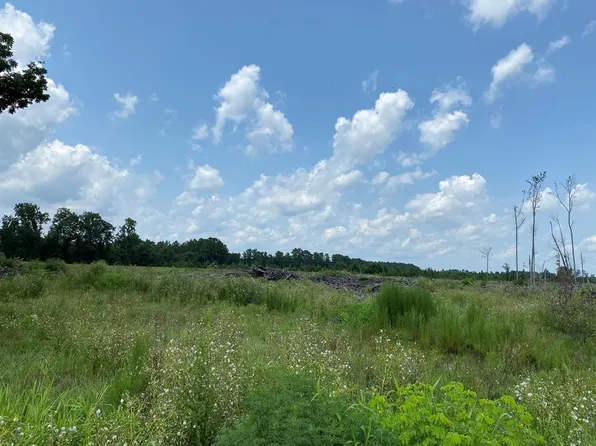 0 Cooter Rd, Orangeburg, SC 29115