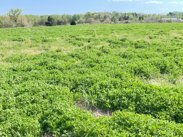 3 Law Rd, Lexington, TN 38351