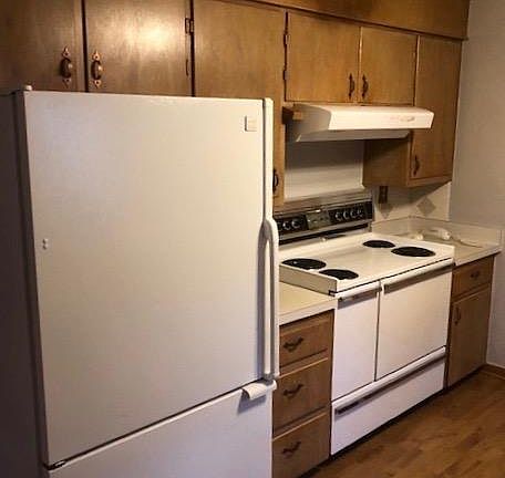 2nd image of 503 Holman Ln