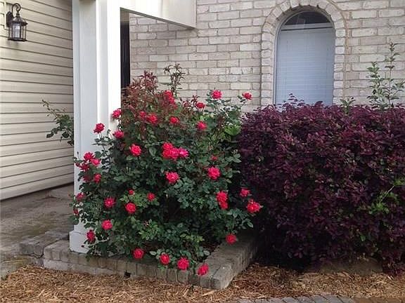 4th image of 6602 Town Bluff Dr