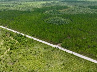 Fire Tower Rd, Manor, GA 31550