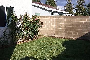 4th image of 7216 Sunsweet Ln