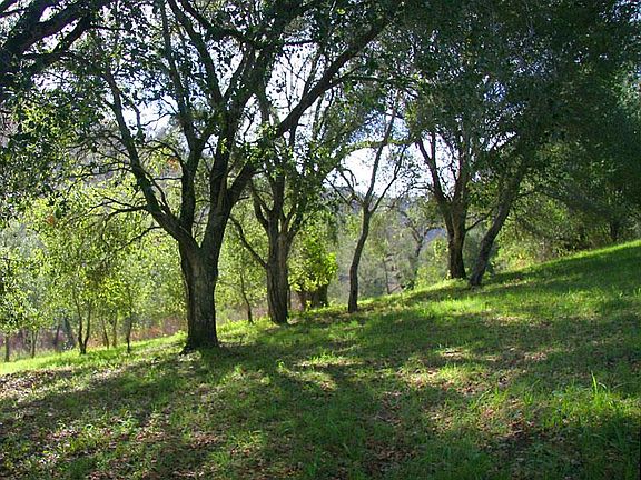 3rd image of 34160 Robinson Canyon Rd