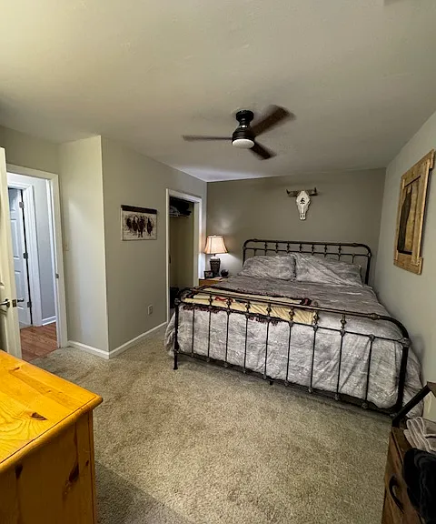 17 Lady Bug Ln — Photo 45