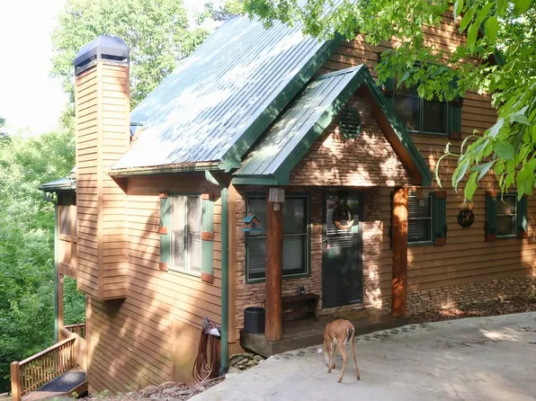 363 Palisade Dr #2, Ellijay, GA 30540