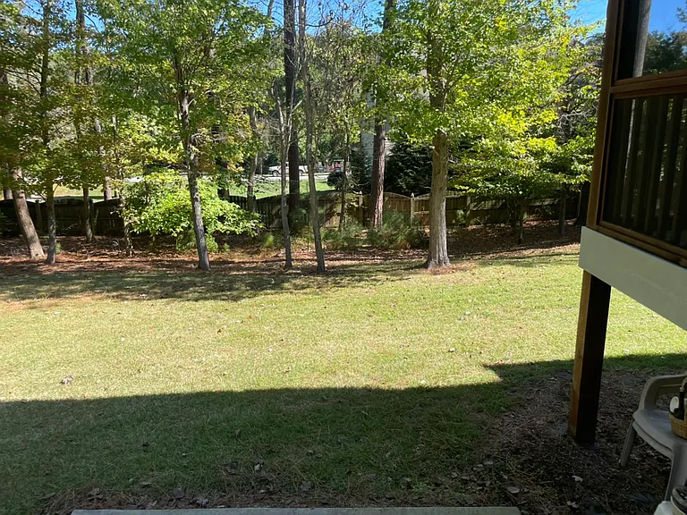 Back yard view