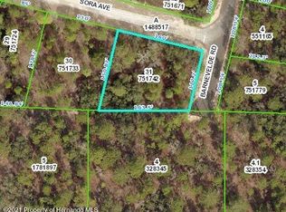 0 Sora Ave, Brooksville, FL 34614