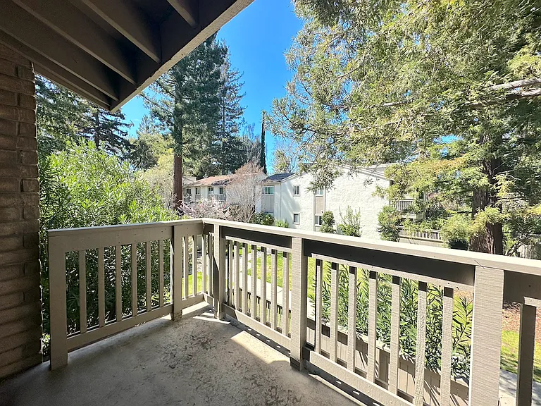19820 Vineyard Ln — Photo 13