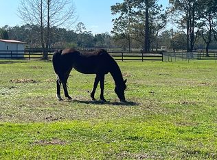 1325 Red Colt Ct, Astor, FL 32102