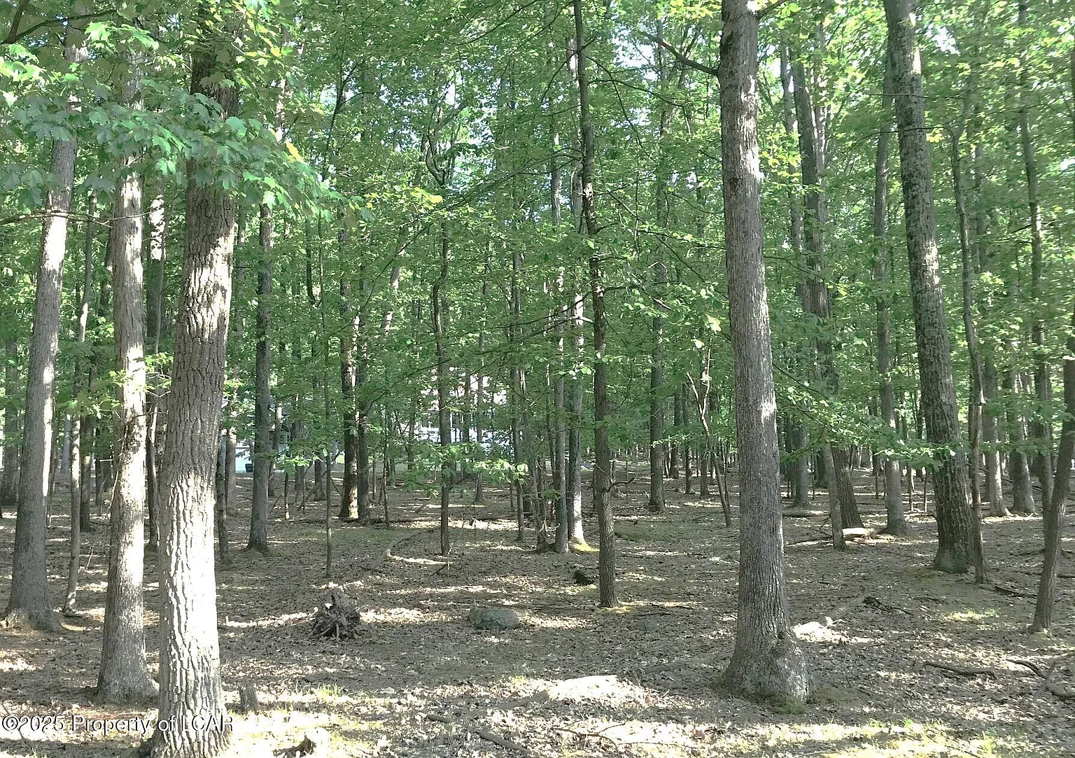Ja Muskegon Cir Lot 192 photo 1