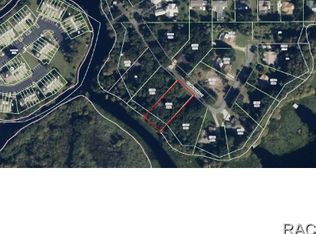 2100 S Lake Spivey Point, Inverness, FL 34450