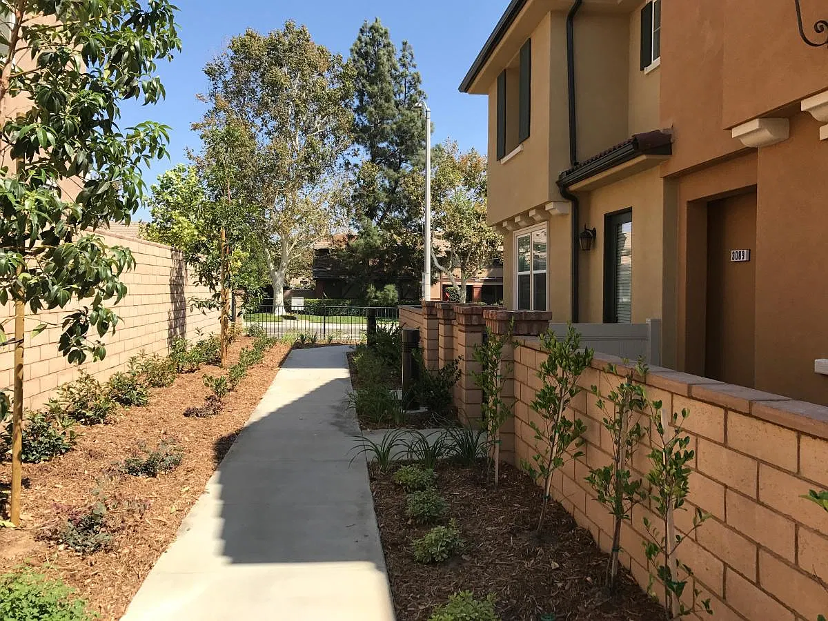 3 bed, 2.5 bath, 1462 sqft, $3,100 — Photo 2
