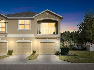 9077 Moonlit Meadows Loop, Riverview, FL, 33578