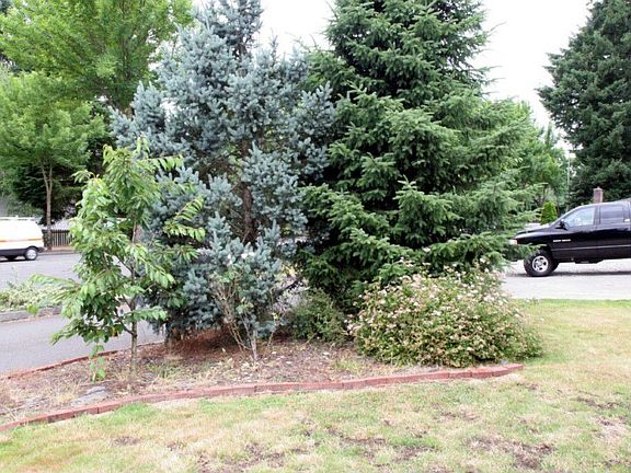 5th image of 3406 College St SE