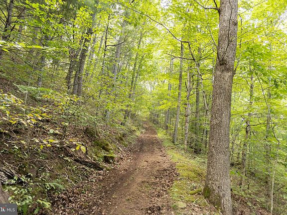 3rd image of 386 Long Rd