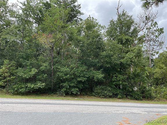 4th image of 1414 E Tradewind Dr
