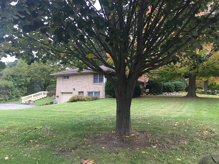 Whitehills Dr — Photo 35