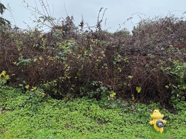 0 Tax Parcel 00536900003900, Mukilteo, WA 98275