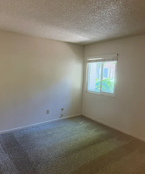 4332 Pacific Ave #37 — Photo 11