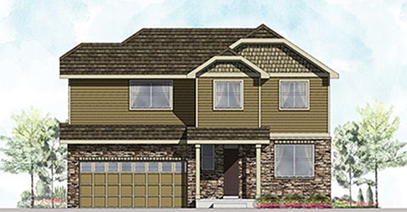 Elevation Image 3.