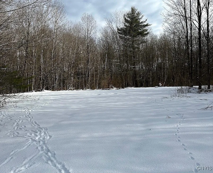 206 Durgee Rd photo 1