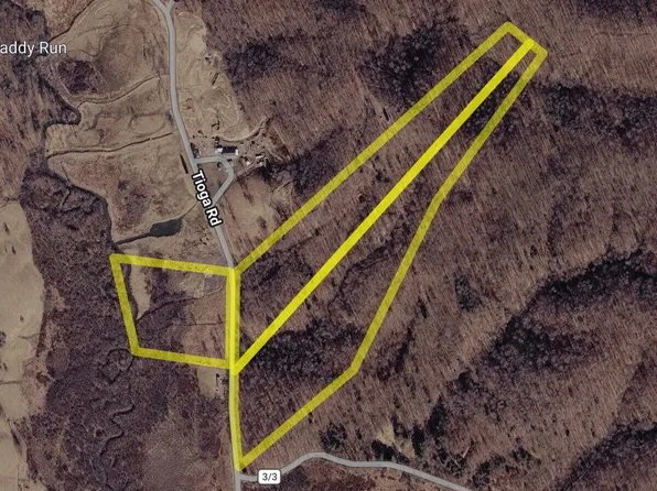 4042 Tioga Rd, Tioga, WV 26691