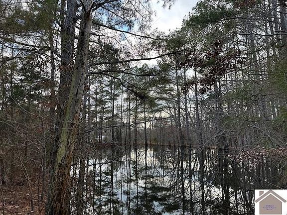 5th image of 310 Dunbar Rd