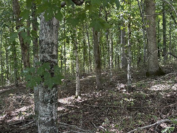 3rd image of 0 Middle Lick Creek Rd Lot 30