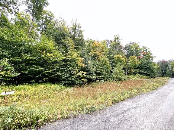 3rd image of 75 Granite Dr