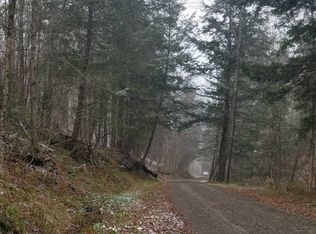 399 Mellis Brook Rd, Downsville, NY 13755