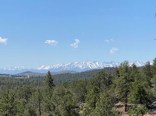 104 Buffalo Rd, Cotopaxi, CO 81223