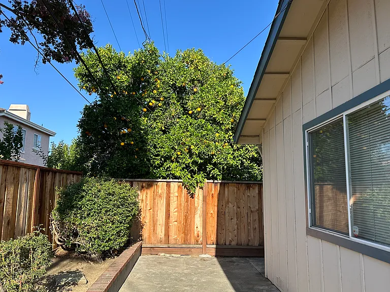 6343 Atherwood Ave — Photo 17