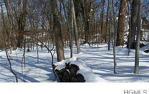 north woodlands 6