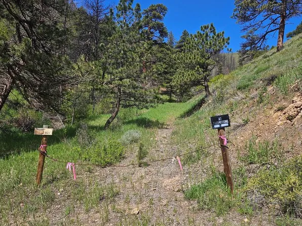 0 TBD County Road 69, Bellvue, CO 80512