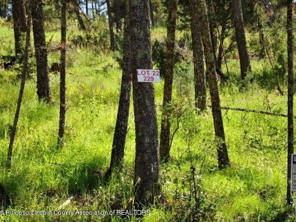 229 Cummings Dr, Ruidoso, NM 88345