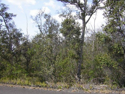 2nd image of Paradise Pkwy Lot 14
